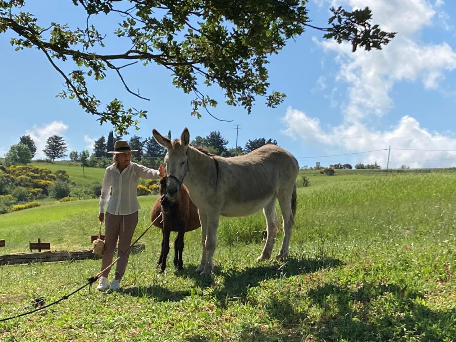 Agriturismo Selvella Radicofani Luaran gambar