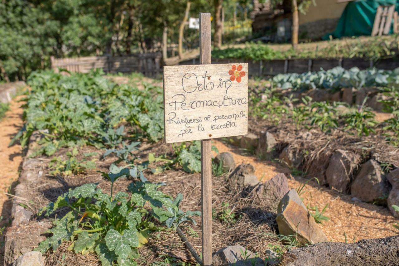 Agriturismo Selvella Radicofani Luaran gambar